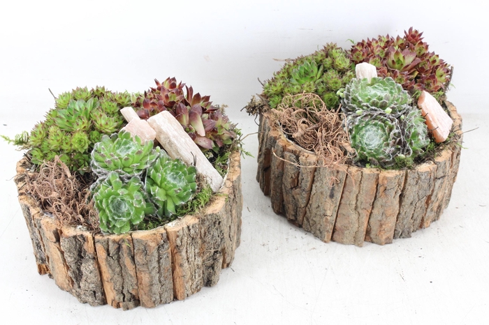 <h4>arr4 Semp PL - Schorsbak rond 285/4</h4>