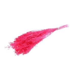 Bunch Broom Slv 100g L45