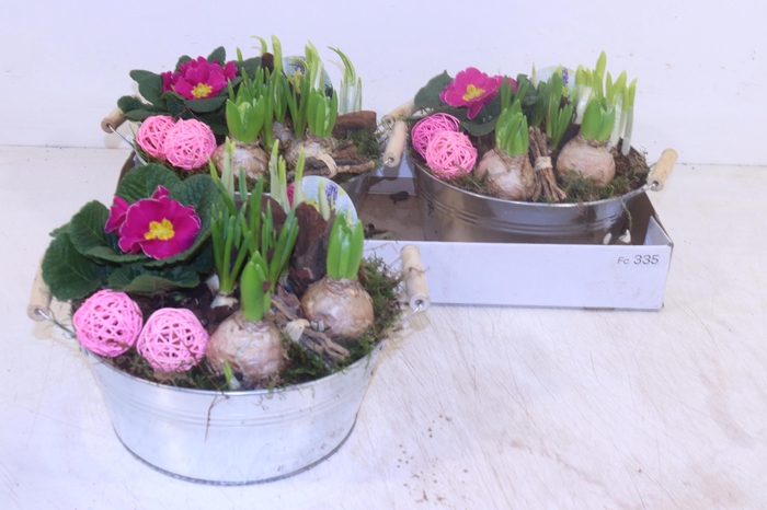 <h4>ARR TUINPLANTEN</h4>