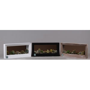 Schilderij met spiegel hout met Cactussen