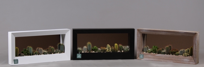 <h4>Houten schilderij met spiegel hout met Cactussen</h4>