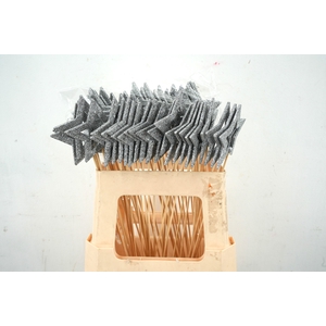 Pick star open d.9cm+50cm stick silver glitter