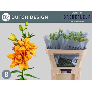 LI LA DUTCH DESIGN 3+