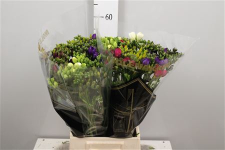 <h4>Fr Du Gemengd 26gr</h4>