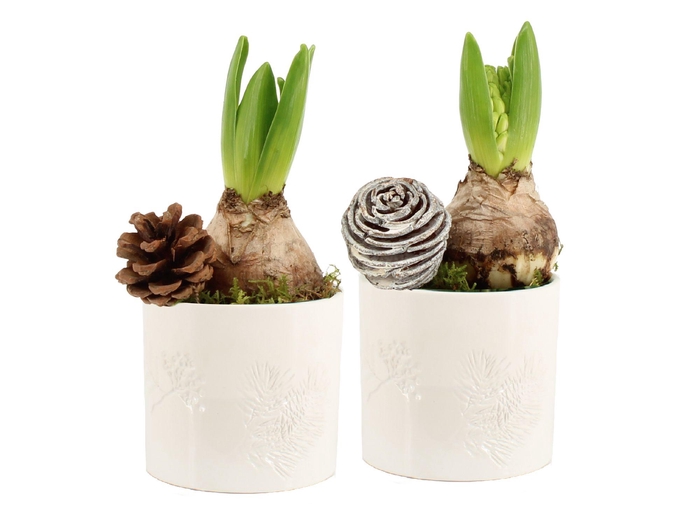 <h4>61685: X-mas arrangement</h4>