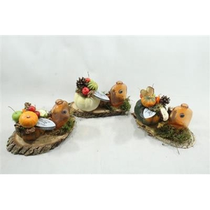 CUBITAPLANK MET GLAS MIX