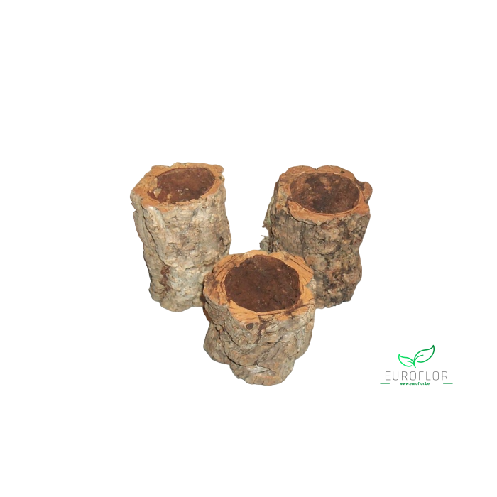 <h4>CASCA OCA POTS 10CM 3PCS NATURAL</h4>