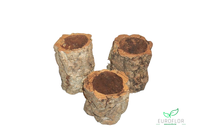 CASCA OCA POTS 10CM 3PCS NATURAL