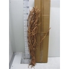 Liane Raffia Natuur