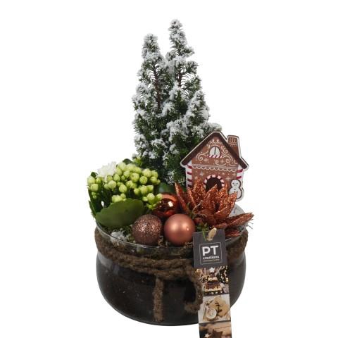 <h4>PTCHB9852 Arrangementen Kerst</h4>