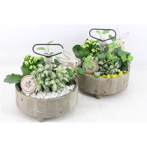 arr2 PL - Etagere rond 5x - geel/wit