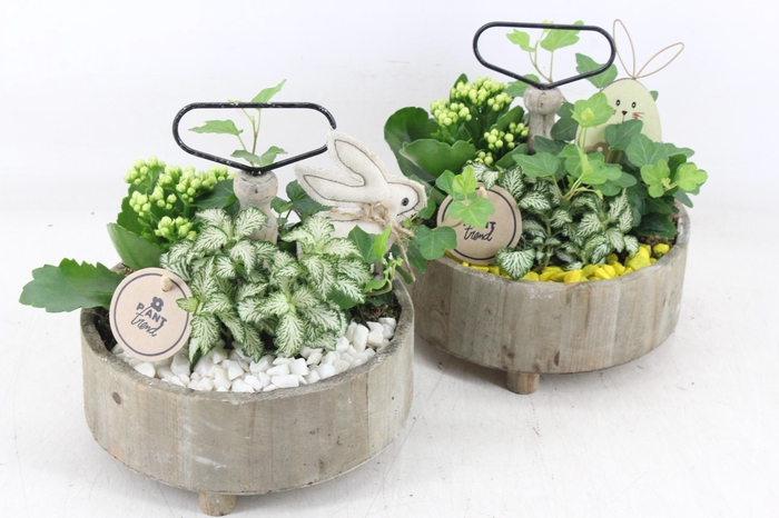 <h4>arr2 PL - Etagere rond 5x - geel/wit</h4>