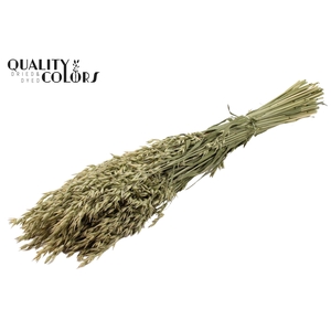 Avena per bunch Natural