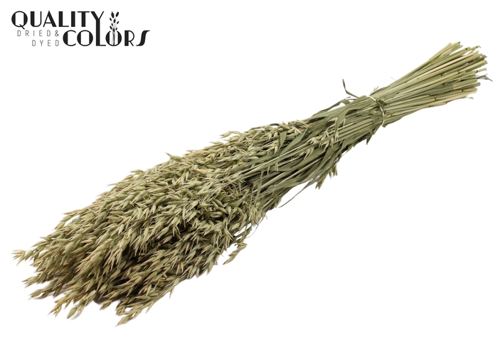 <h4>Avena per bunch Natural</h4>