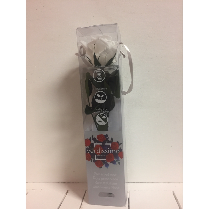 <h4>Roos op steel mini 27,5cm White</h4>