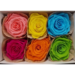 Ro Pres Classic Mix Carnaval