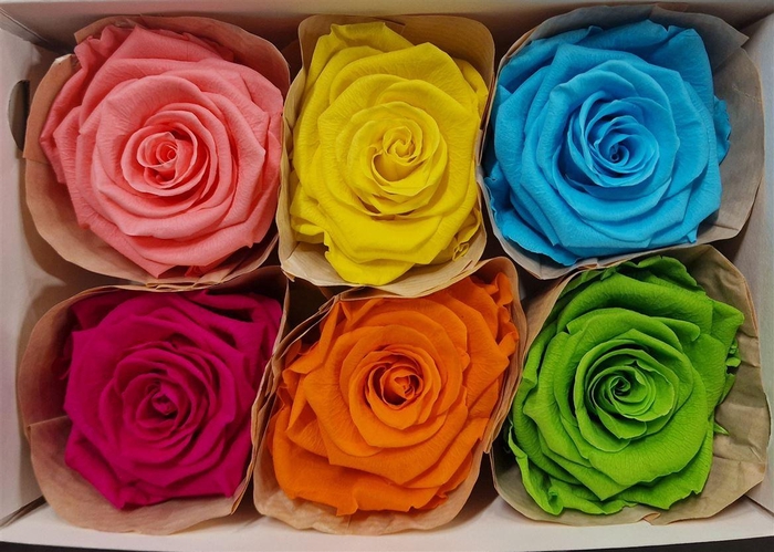 <h4>Ro Pres Classic Mix Carnaval</h4>