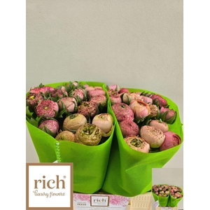 RANUNCULUS  'AAZUR ANTIQUE ROSE'