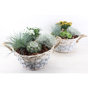 arr4 Outdoor PL - Mand pioni XL