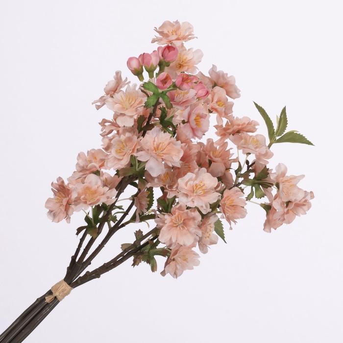 Cherry Blossom Bundle Peach BK770007PEA