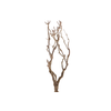Syringa Branch Super Rudajev