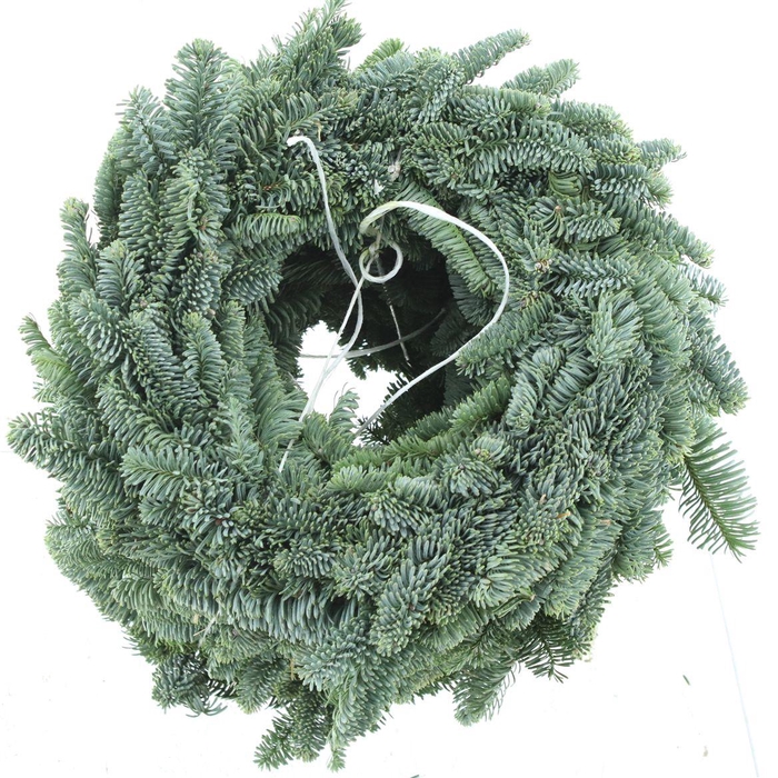 <h4>Krans Nobilis Half Gebonden 30cm</h4>