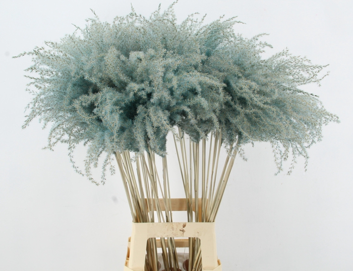 <h4>DROOGBL BEWERKT H%</h4>