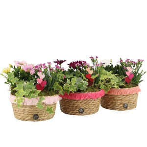 21991: Love outdoor arrangement