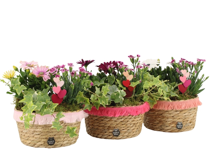 <h4>21991: Love outdoor arrangement</h4>