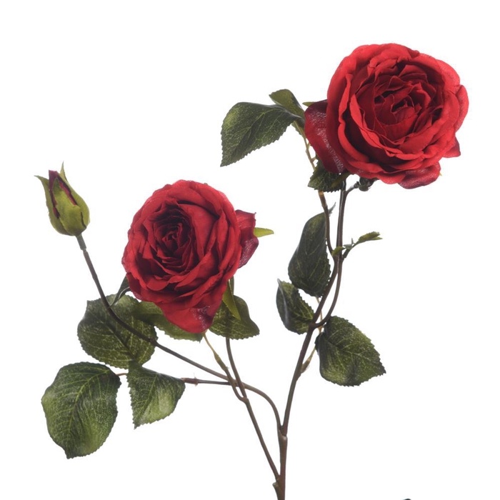 <h4>AF Rosa x3 L61cm Red</h4>