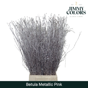 Betula L70 Mtlc. Pink