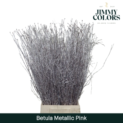 <h4>Betula L70 Mtlc. Pink</h4>