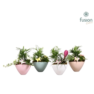 keramieken pot met plantmix arrangement Voorjaar