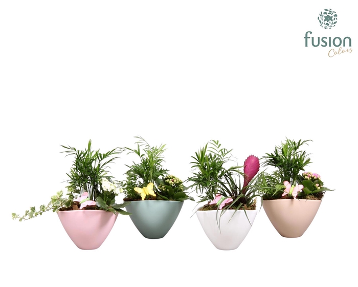 <h4>keramieken pot met plantmix arrangement Voorjaar</h4>