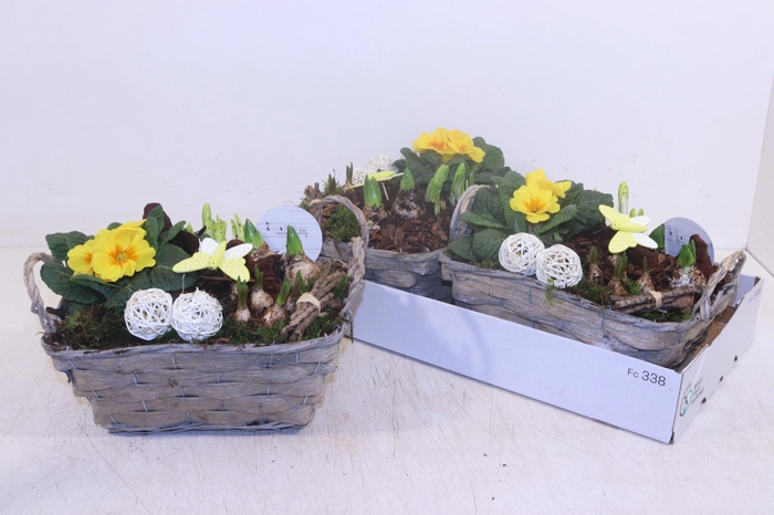 <h4>ARR TUINPLANTEN</h4>