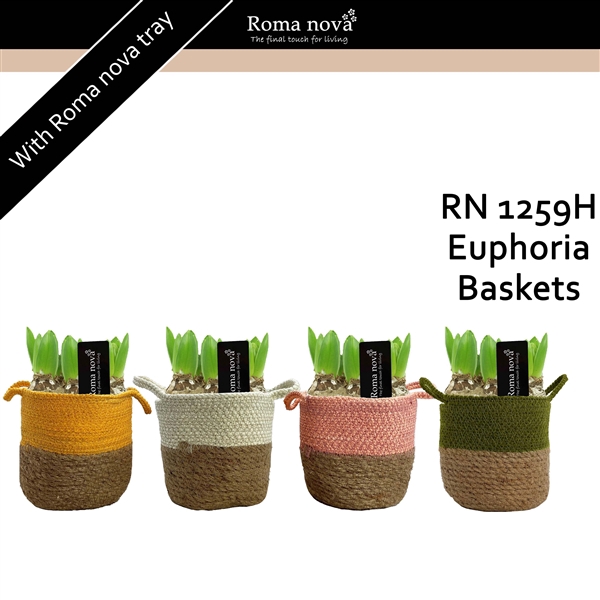 <h4>1259H - Euphoria Baskets (Hyacint)</h4>