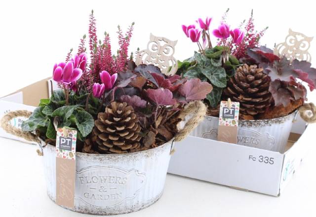 <h4>ARR TUINPLANTEN</h4>