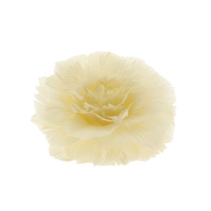 Feather Rose Clip H8D11