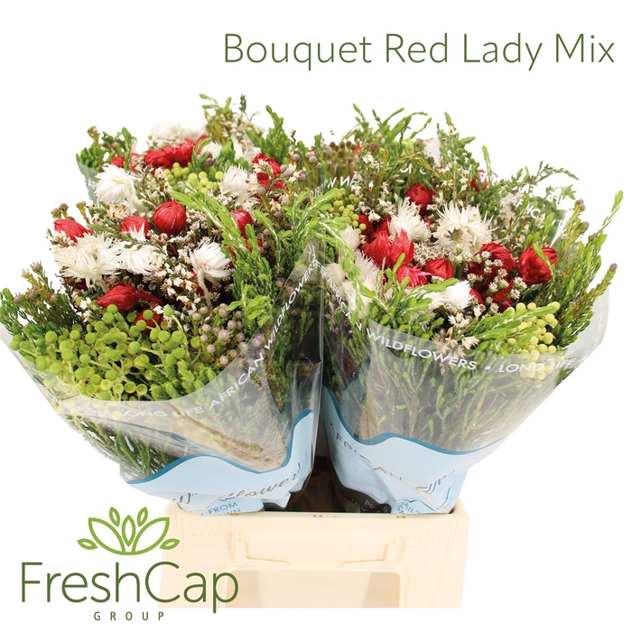 <h4>Bouquet Red Lady Mix</h4>