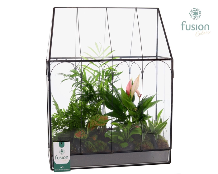 <h4>Metaal Geometrisch Large planter met Arrangement</h4>