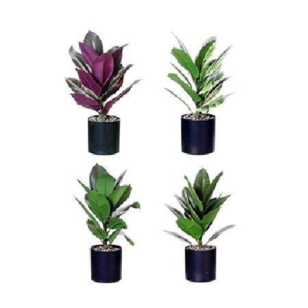 <h4>Kunstplanten Pot Ficus Elastica d11*35cm</h4>