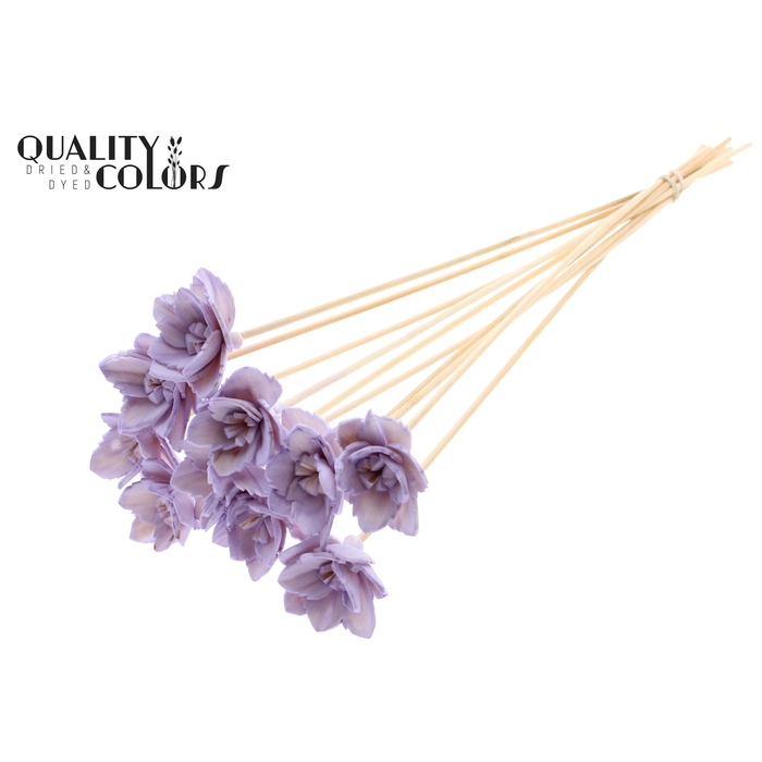 <h4>Shola Queen Flower on stem Milka</h4>