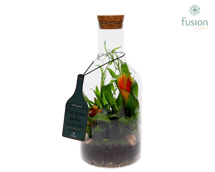 <h4>Green Bottle Fles Small met Bromelia</h4>