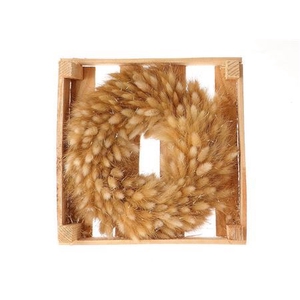 Wr Lagurus Natural D30