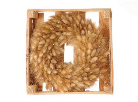 <h4>Wr Lagurus Natural D30</h4>