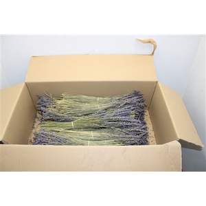 Lavendel Droog X40 100 Gr