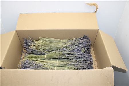 <h4>Lavendel Droog X40 100 Gr</h4>