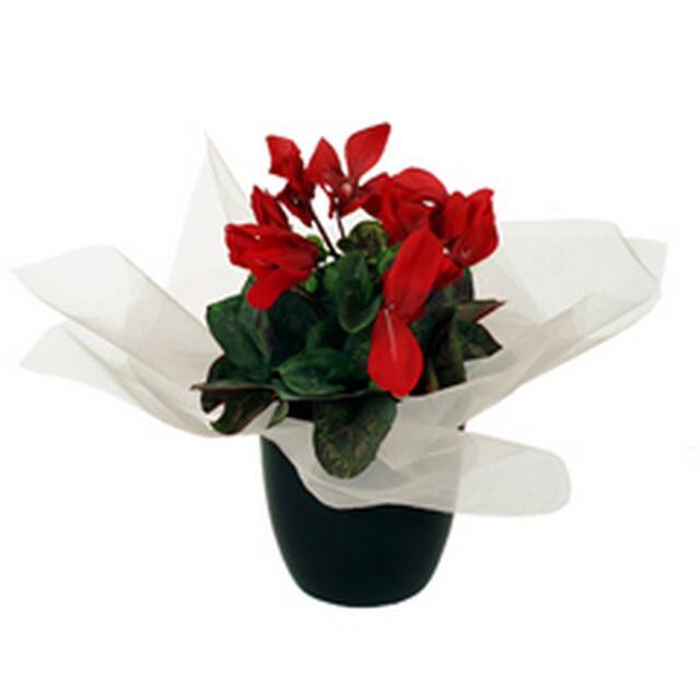 <h4>Vel organza 40x40cm wit</h4>