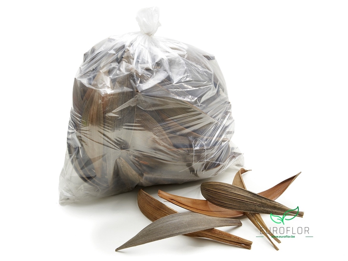 COCO MEDIUM NATURAL 1pc