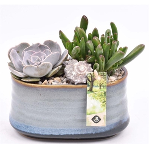 Keramiek ovaal blauw/grijs 19x12cm